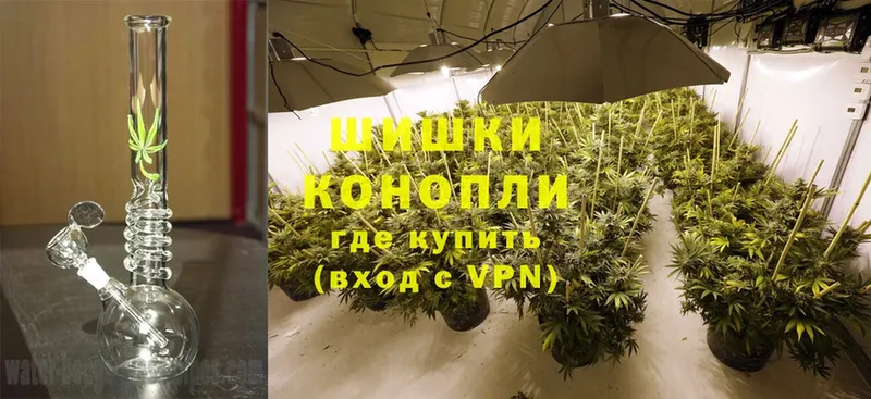 как найти   Галич  Каннабис White Widow 